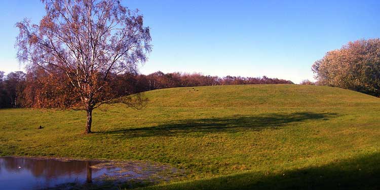 Outdoor Recreational at the Heaton Park