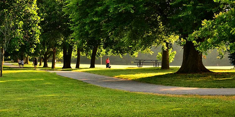 Plan a Quick Picnic at Pinkerton Park 