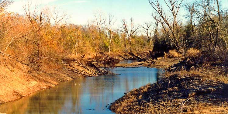  River Legacy Parks 