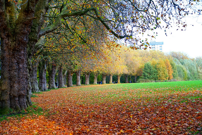 Sefton Park