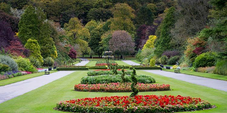 Stroll Through Seaton Park