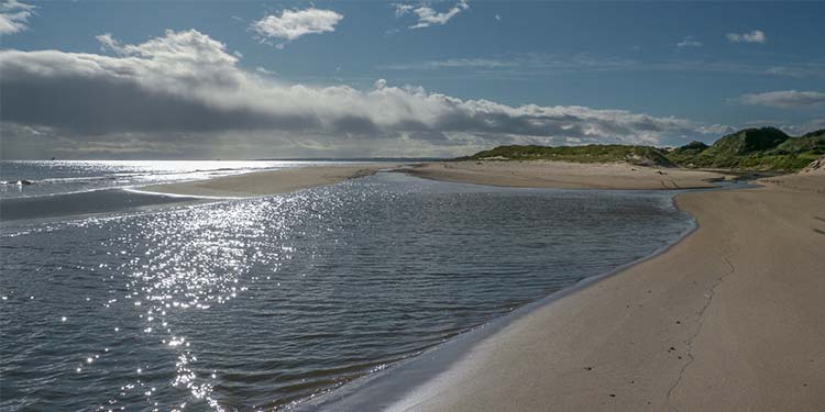 Take a Scenic Walk at Balmedie Beach and Country Park