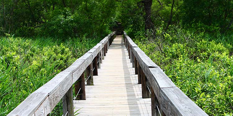 Take a hike at the Fort Worth Nature Center and Refuge