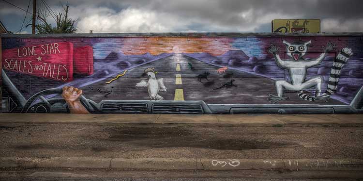  Amarillo's Mural Community