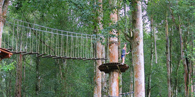 Treetop Adventure Park