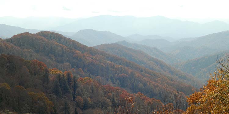 Visit The Great Smoky Mountains National Park