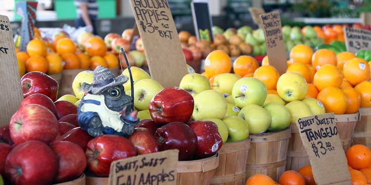 Weekend at the Rose City Farmers Market