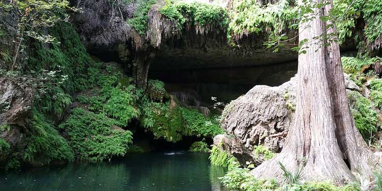 Westcave Preserve Falls