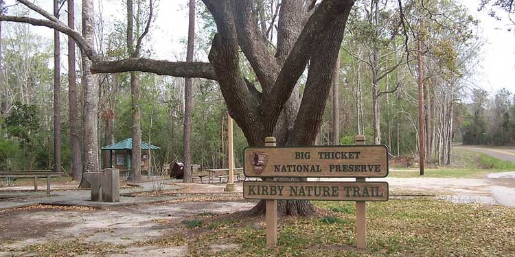 Become a Wanderlust at the Big Thicket National Preserve 