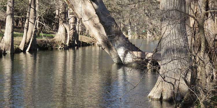 Discover Cypress Creek Nature Preserve