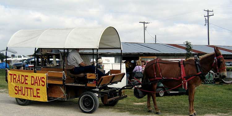 Go Thrift Shopping at Fredericksburg Trade Days