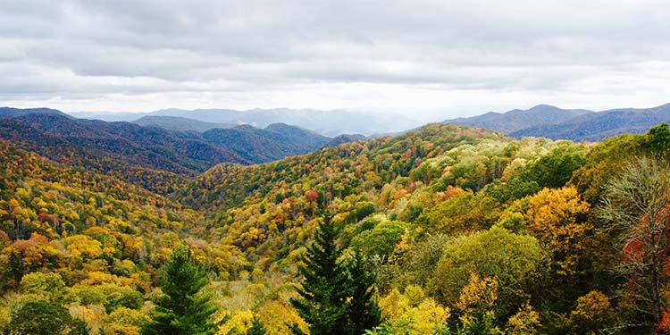 Great Smoky Mountains National Park