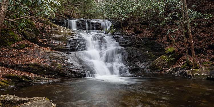 Laurel Falls