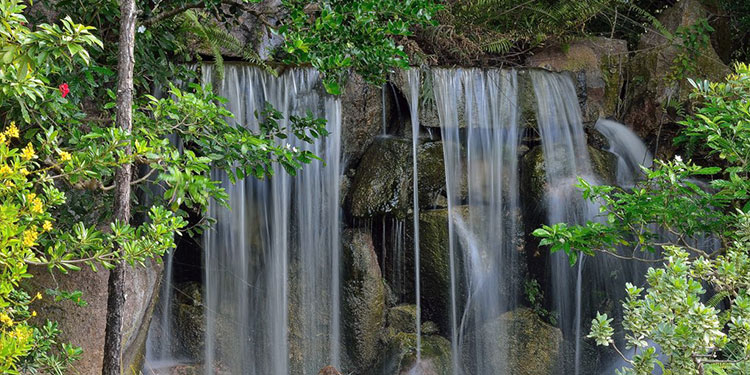 morikami japanese gardens