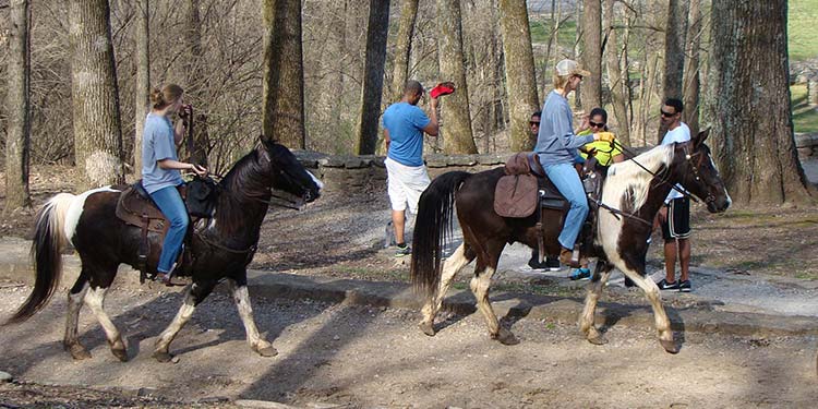 Percy Warner Park