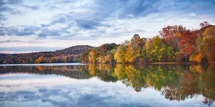 Radnor Lake