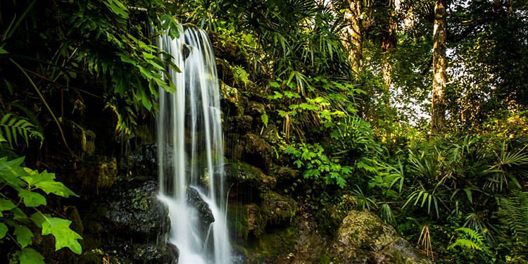 rainbow spring state park