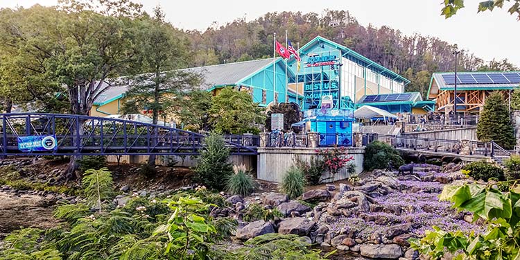 Ripley’s Aquarium of the Smokies 