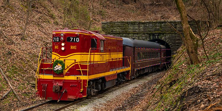 Tennessee Valley Railroad Museum
