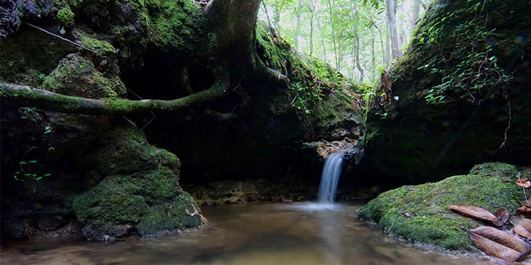 weeping ridge trail