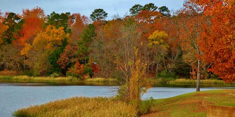 Tyler State Park Lake