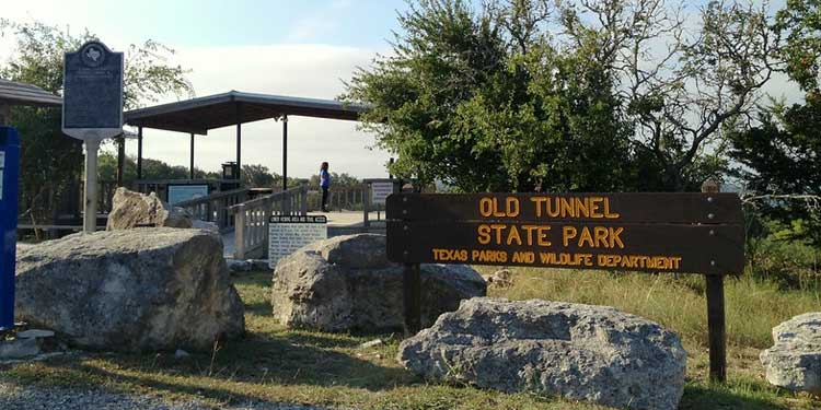 Watch Millions of Bats at the Old Tunnel State Park