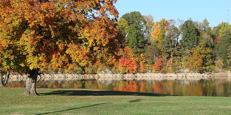 Winged Deer Park