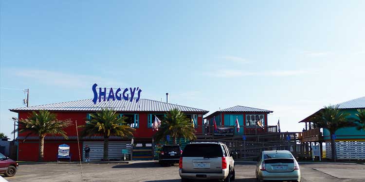shaggy's