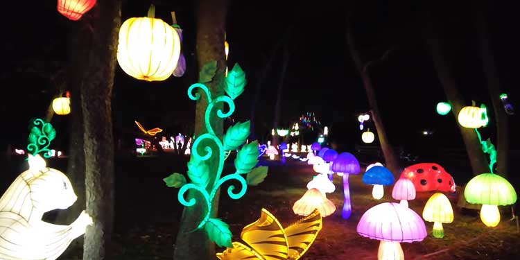 winter lantern festival