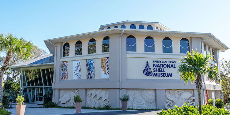 Bailey-Matthews-National-Shell-Museum