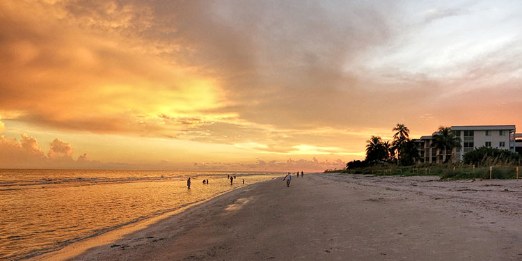 Barrier Island Trips