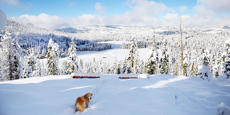 Bogus Basin Mountain