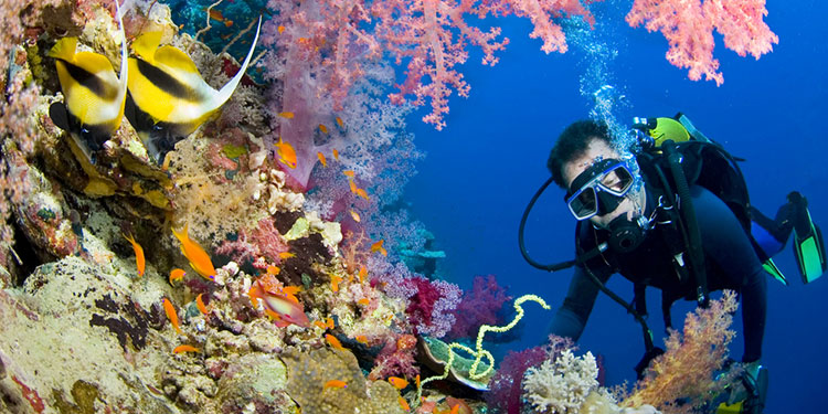 Diving and Snorkeling