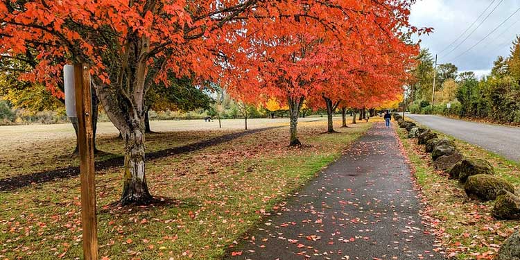 Explore the Minto-Brown Island Park