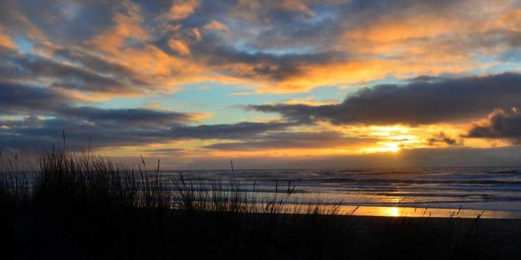 Explore the South Beach State Park