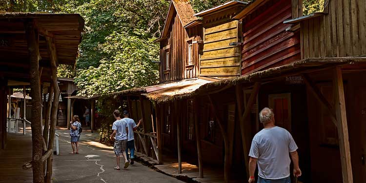 Family Getaway at the Enchanted Forest