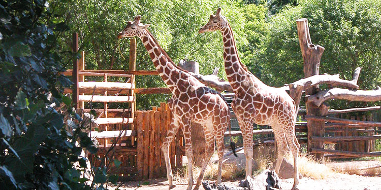 Farm at Zoo Boise 