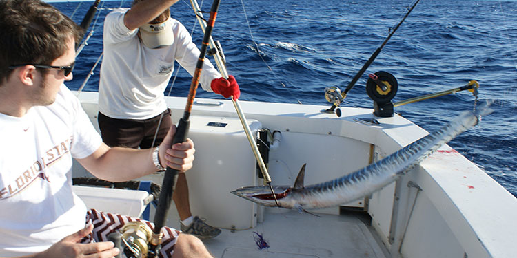 Fishing in Key West