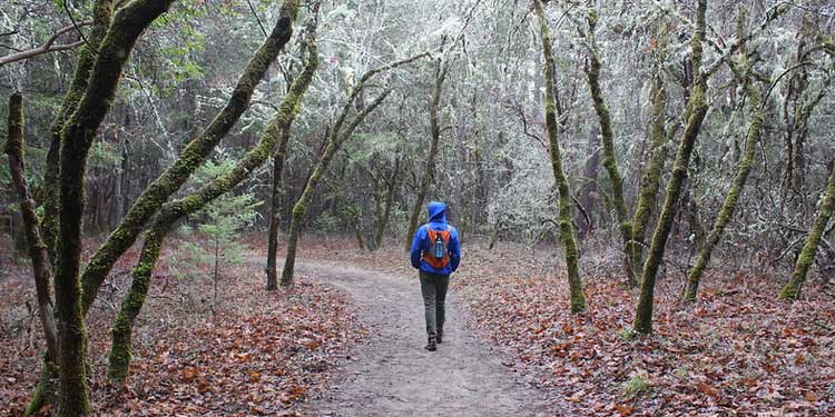 Go Hiking at the Cathedral Tree Trail Trailhead