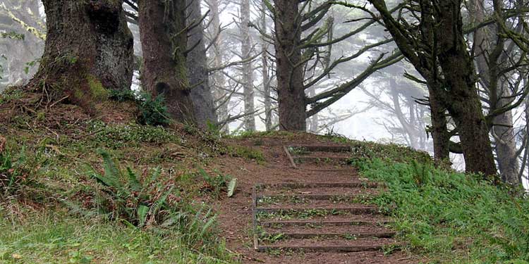Go Hiking at the Hobbit Trail