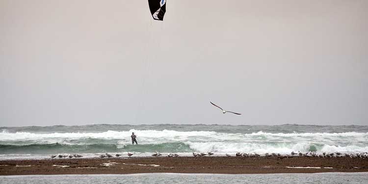 Go on a Surfing and Kayak Adventures Tour 