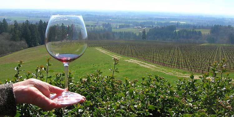 Go on a Wine Tasting Tour at the Willamette Valley 
