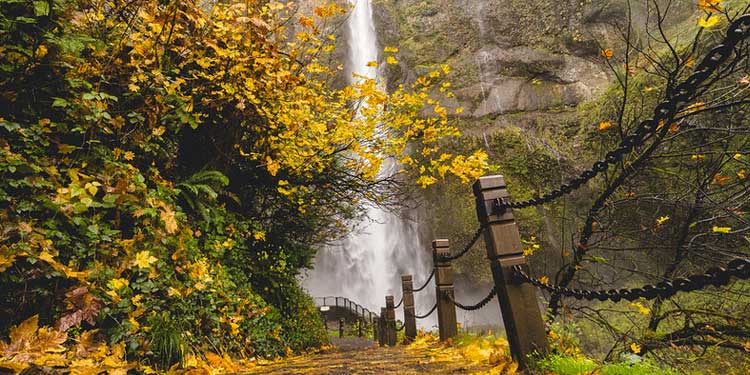 Hike and Discover the Beauty of Multnomah Falls