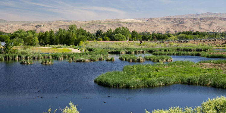 Hyatt Hidden Lakes Reserve