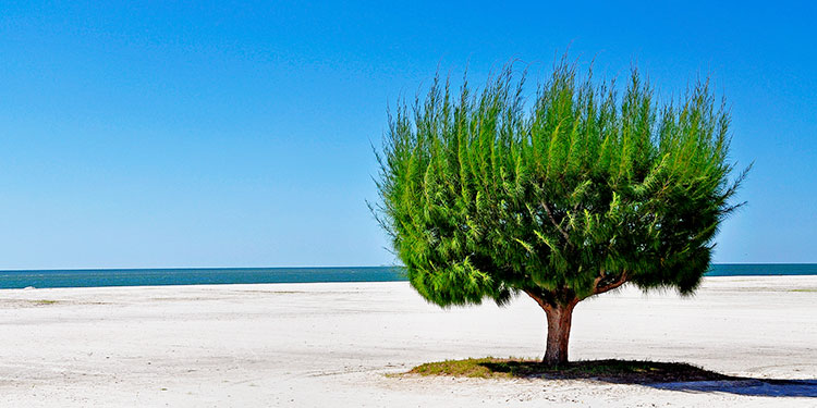 Lovers Key State Park