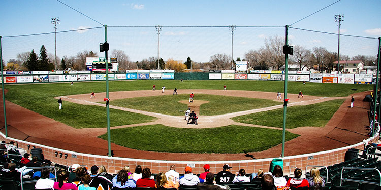 Melaleuca Field