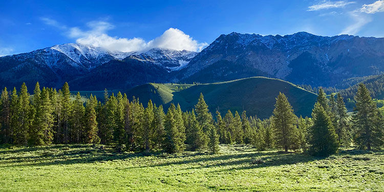 Sawtooth-National-Forest 