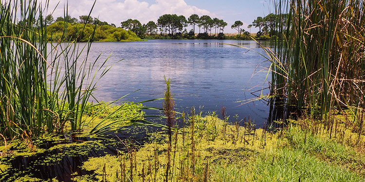 St. Andrews State Park