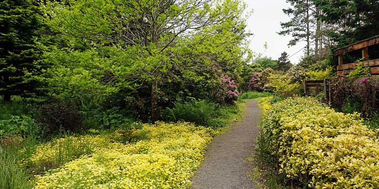 Stroll Around the Connie Hansen Garden Conservancy