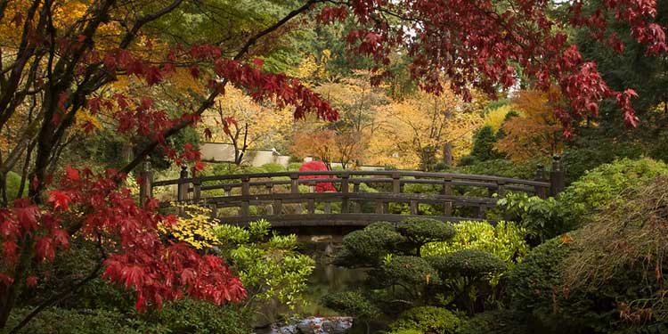 Stroll Around the Portland Japanese Garden